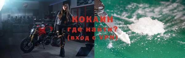 гашик Дмитров