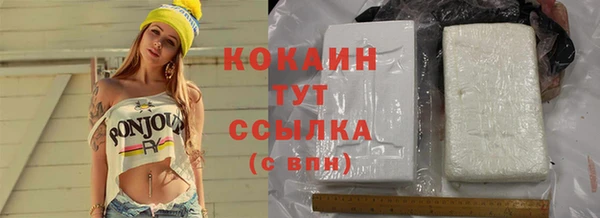 гашик Дмитров