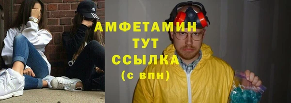 ПСИЛОЦИБИНОВЫЕ ГРИБЫ Ельня