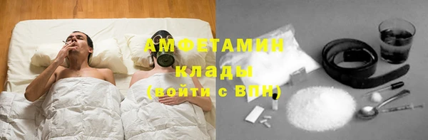 гашик Дмитров