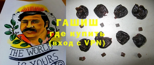 гашик Дмитров