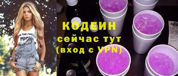гашик Дмитров