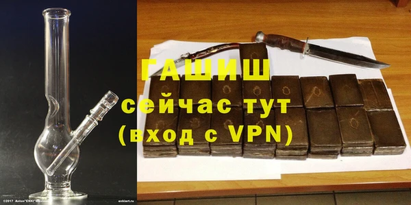 гашик Дмитров