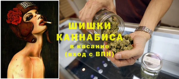 хмурый Дмитриев